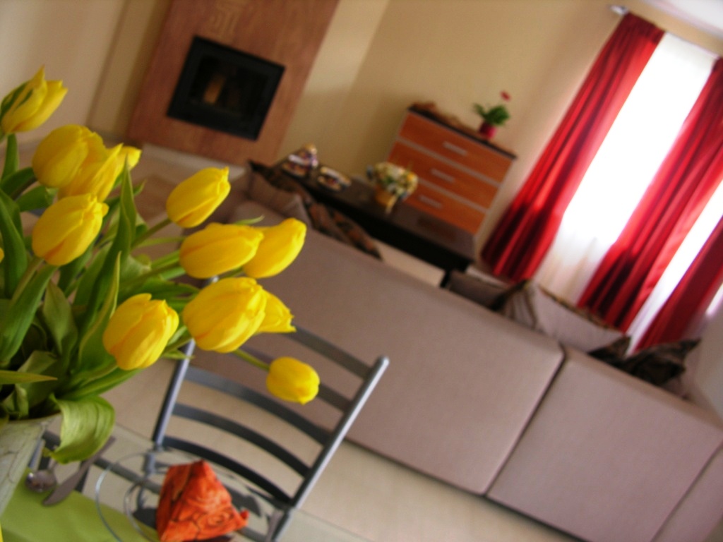 Kwiaty w pokoju - żółte tulipany